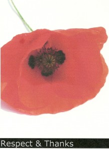 POPPY for Remembrance Day
